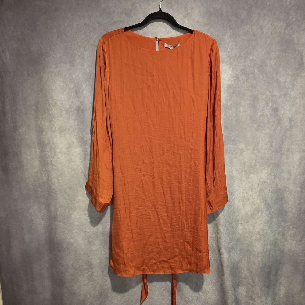 Naked Zebra Burnt Orange Tunic Dress NWT